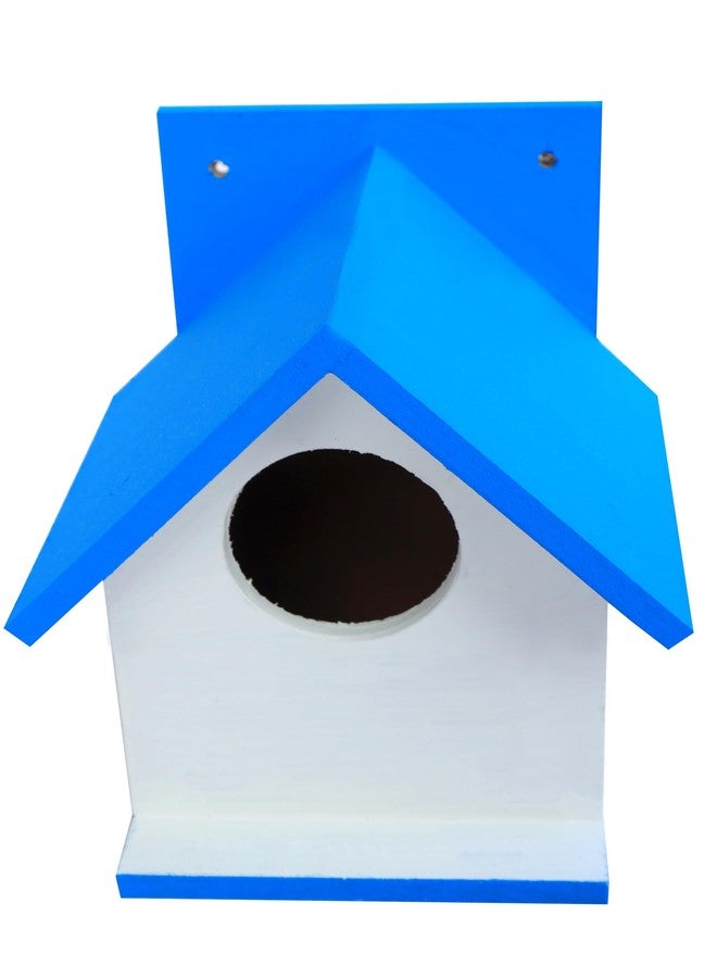 Hellonz Bird House for Sparrow, Budgies & Finches with Air Ventilation and Mounting Hook (Blue) - Image 1